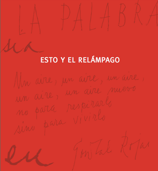 ESTO Y EL RELÁMPAGO (GONZALO ROJAS, UNA BIOGRAFÍA A VIVA VOZ)