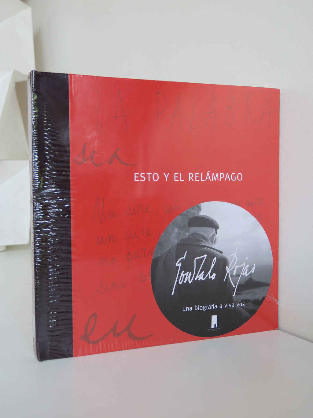 ESTO Y EL RELÁMPAGO (GONZALO ROJAS, UNA BIOGRAFÍA A VIVA VOZ)
