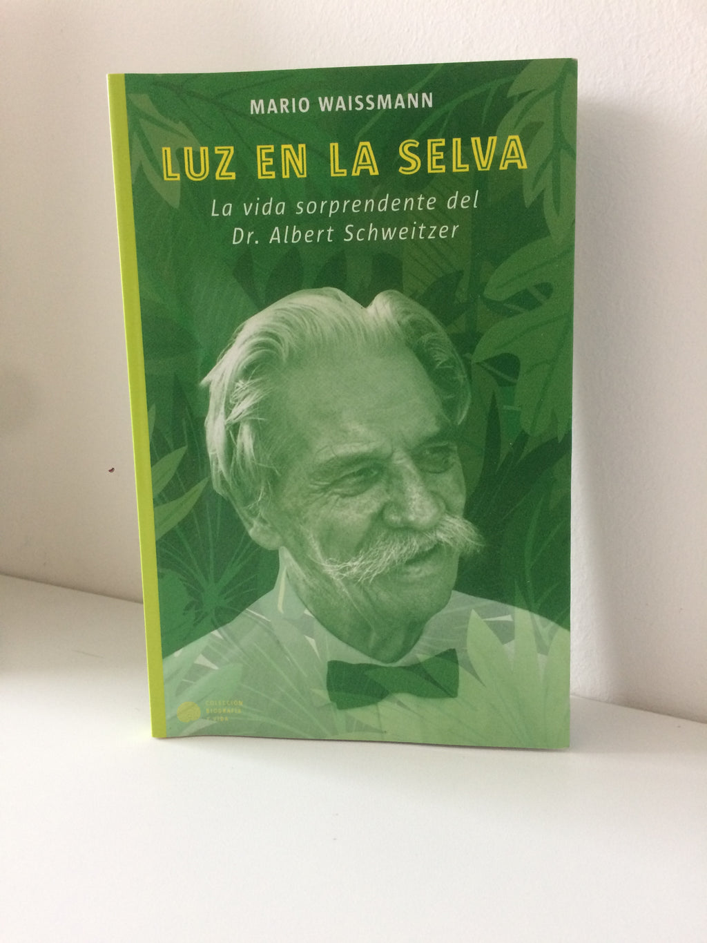 LUZ EN LA SELVA